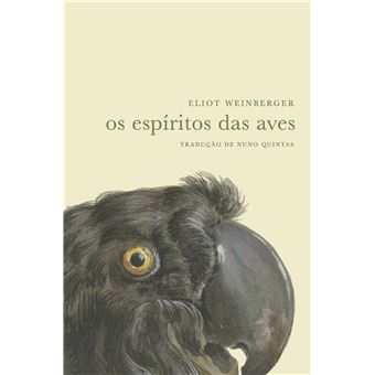 Os Espíritos das Aves